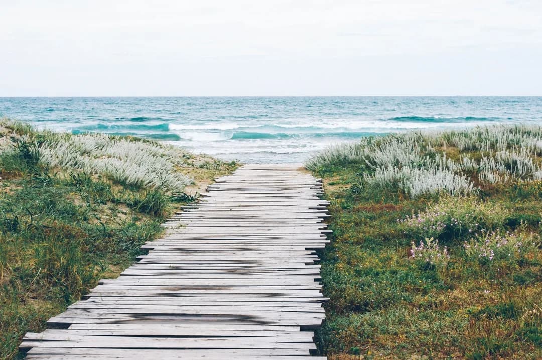 Boardwalk path through dunes, burnout therapy in Charlotte, NC